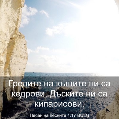 Picture 03 - Песен на песните 1:17 BULG - Гредите на къщите ни са - Bible Verse Picture
