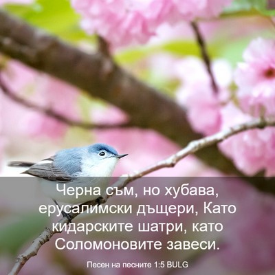Picture 03 - Песен на песните 1:5 BULG - Черна съм, но хубава, - Bible Verse Picture