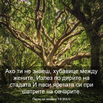 Picture 03 - Песен на песните 1:8 BULG - Ако ти не знаеш, хубавице - Bible Verse Picture