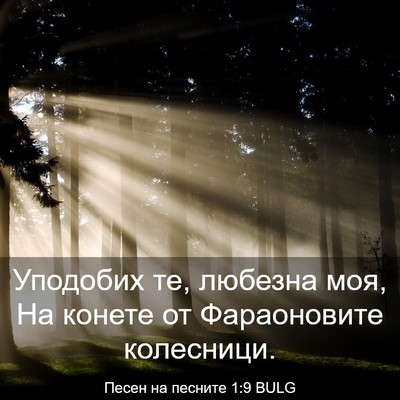 Picture 03 - Песен на песните 1:9 BULG - Уподобих те, любезна моя, - Bible Verse Picture