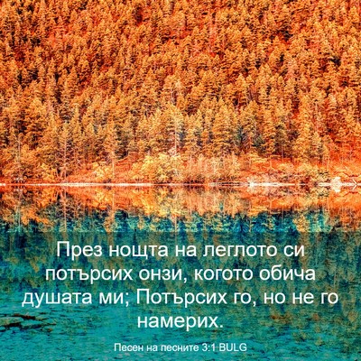 Picture 03 - Песен на песните 3:1 BULG - През нощта на леглото си - Bible Verse Picture