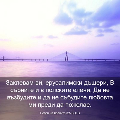 Picture 03 - Песен на песните 3:5 BULG - Заклевам ви, ерусалимски - Bible Verse Picture