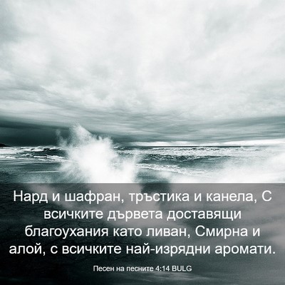 Picture 03 - Песен на песните 4:14 BULG - Нард и шафран, тръстика и - Bible Verse Picture