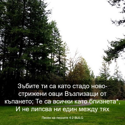 Picture 03 - Песен на песните 4:2 BULG - Зъбите ти са като стадо - Bible Verse Picture