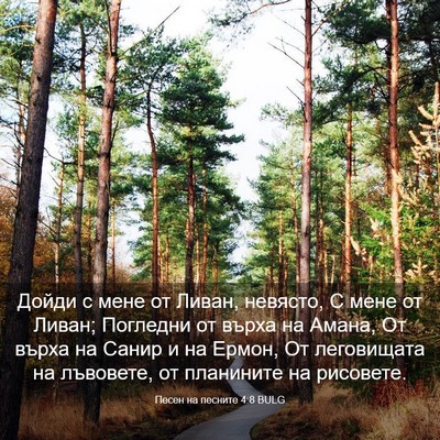 Picture 03 - Песен на песните 4:8 BULG - Дойди с мене от Ливан, - Bible Verse Picture