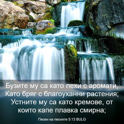 Picture 03 - Песен на песните 5:13 BULG - Бузите му са като лехи с - Bible Verse Picture