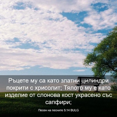 Picture 03 - Песен на песните 5:14 BULG - Ръцете му са като златни - Bible Verse Picture