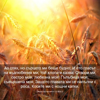 Picture 03 - Песен на песните 5:2 BULG - Аз спях, но сърцето ми беше - Bible Verse Picture