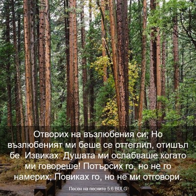 Picture 03 - Песен на песните 5:6 BULG - Отворих на възлюбения си; - Bible Verse Picture