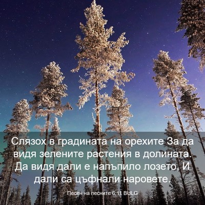 Picture 03 - Песен на песните 6:11 BULG - Слязох в градината на - Bible Verse Picture