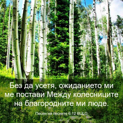 Picture 03 - Песен на песните 6:12 BULG - Без да усетя, ожиданието ми - Bible Verse Picture
