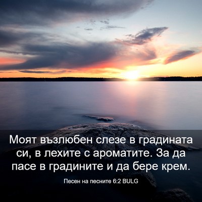 Picture 03 - Песен на песните 6:2 BULG - Моят възлюбен слезе в - Bible Verse Picture