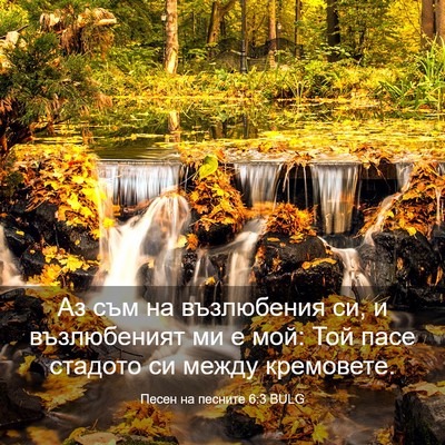 Picture 03 - Песен на песните 6:3 BULG - Аз съм на възлюбения си, и - Bible Verse Picture