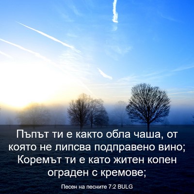 Picture 03 - Песен на песните 7:2 BULG - Пъпът ти е както обла чаша, - Bible Verse Picture