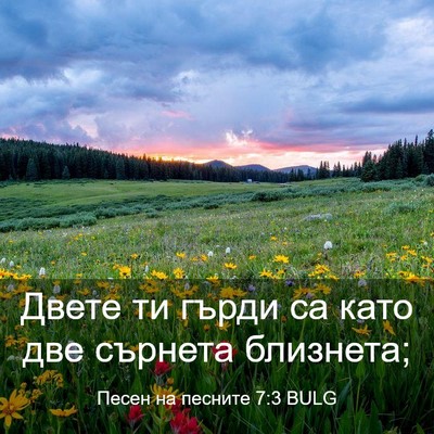 Picture 03 - Песен на песните 7:3 BULG - Двете ти гърди са като две - Bible Verse Picture
