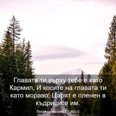 Picture 03 - Песен на песните 7:5 BULG - Главата ти върху тебе е - Bible Verse Picture