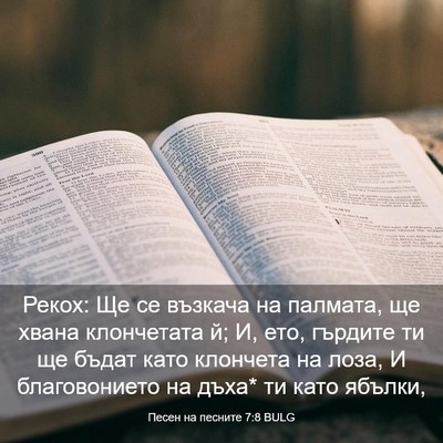 Picture 03 - Песен на песните 7:8 BULG - Рекох: Ще се възкача на - Bible Verse Picture