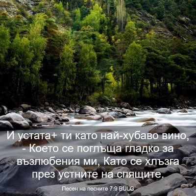 Picture 03 - Песен на песните 7:9 BULG - И устата+ ти като - Bible Verse Picture