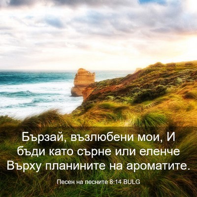 Picture 03 - Песен на песните 8:14 BULG - Бързай, възлюбени мои, И - Bible Verse Picture