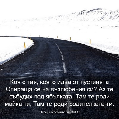 Picture 03 - Песен на песните 8:5 BULG - Коя е тая, която идва от - Bible Verse Picture