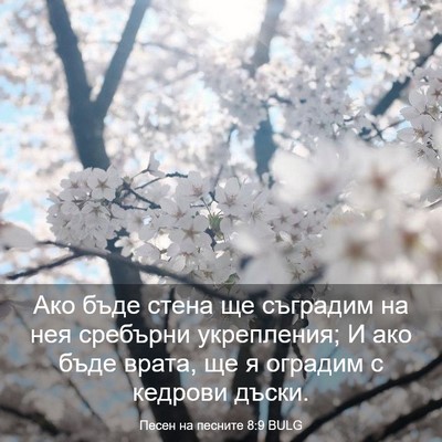 Picture 03 - Песен на песните 8:9 BULG - Ако бъде стена ще съградим - Bible Verse Picture