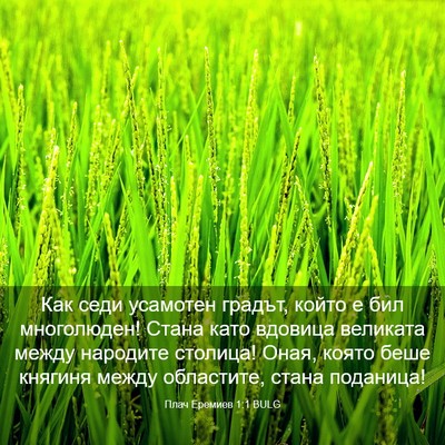Picture 03 - Плач Еремиев 1:1 BULG - Как седи усамотен градът, - Bible Verse Picture