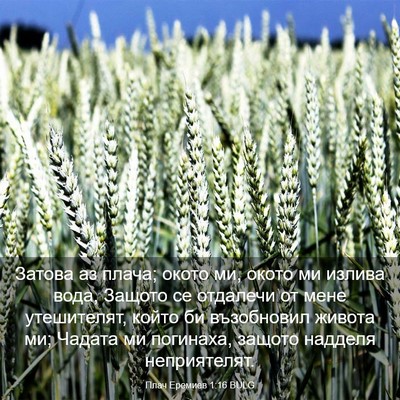 Picture 03 - Плач Еремиев 1:16 BULG - Затова аз плача; окото ми, - Bible Verse Picture