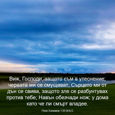 Picture 03 - Плач Еремиев 1:20 BULG - Виж, Господи, защото съм в - Bible Verse Picture