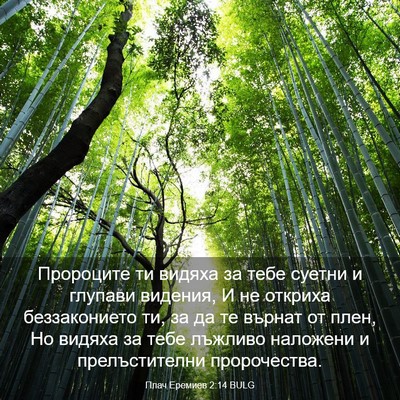 Picture 03 - Плач Еремиев 2:14 BULG - Пророците ти видяха за - Bible Verse Picture