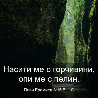 Picture 03 - Плач Еремиев 3:15 BULG - Насити ме с горчивини, опи - Bible Verse Picture