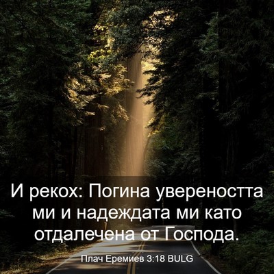 Picture 03 - Плач Еремиев 3:18 BULG - И рекох: Погина - Bible Verse Picture