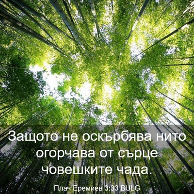 Picture 03 - Плач Еремиев 3:33 BULG - Защото не оскърбява нито - Bible Verse Picture