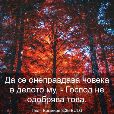 Picture 03 - Плач Еремиев 3:36 BULG - Да се онеправдава човека в - Bible Verse Picture