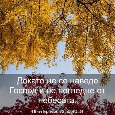 Picture 03 - Плач Еремиев 3:50 BULG - Докато не се наведе Господ - Bible Verse Picture
