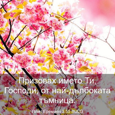 Picture 03 - Плач Еремиев 3:55 BULG - Призовах името Ти, Господи, - Bible Verse Picture