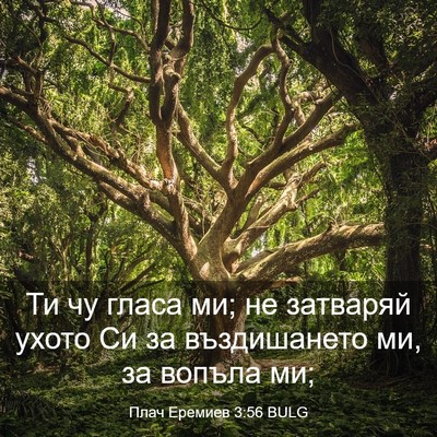 Picture 03 - Плач Еремиев 3:56 BULG - Ти чу гласа ми; не затваряй - Bible Verse Picture