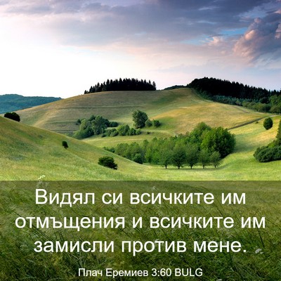 Picture 03 - Плач Еремиев 3:60 BULG - Видял си всичките им - Bible Verse Picture