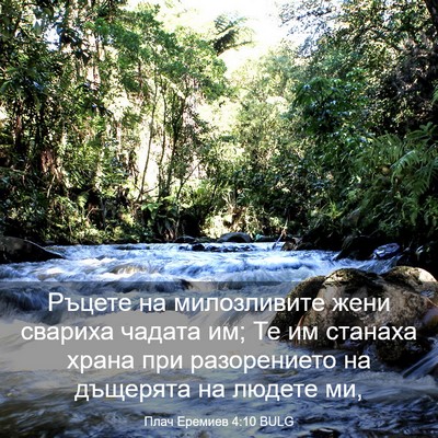 Picture 03 - Плач Еремиев 4:10 BULG - Ръцете на милозливите жени - Bible Verse Picture