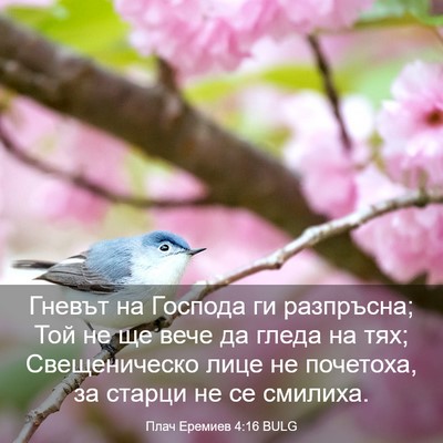 Picture 03 - Плач Еремиев 4:16 BULG - Гневът на Господа ги - Bible Verse Picture