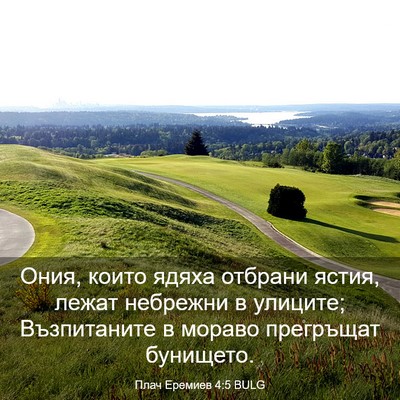 Picture 03 - Плач Еремиев 4:5 BULG - Ония, които ядяха отбрани - Bible Verse Picture