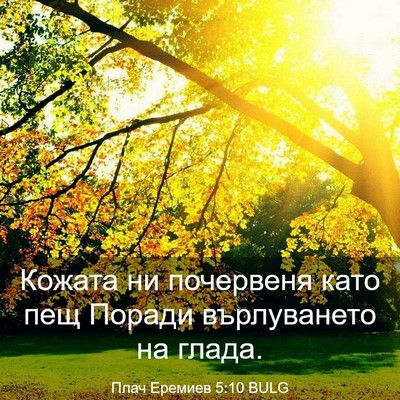 Picture 03 - Плач Еремиев 5:10 BULG - Кожата ни почервеня като - Bible Verse Picture