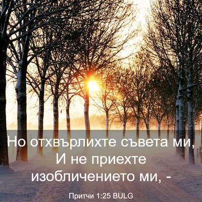 Picture 03 - Притчи 1:25 BULG - Но отхвърлихте съвета ми, И - Bible Verse Picture
