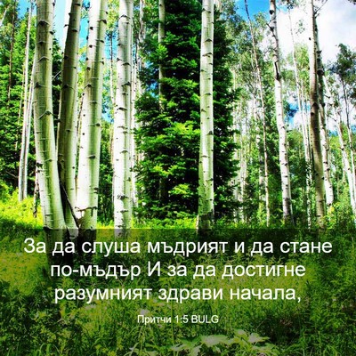 Picture 03 - Притчи 1:5 BULG - За да слуша мъдрият и да - Bible Verse Picture