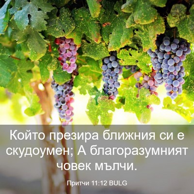 Picture 03 - Притчи 11:12 BULG - Който презира ближния си е - Bible Verse Picture