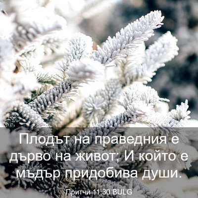 Picture 03 - Притчи 11:30 BULG - Плодът на праведния е - Bible Verse Picture
