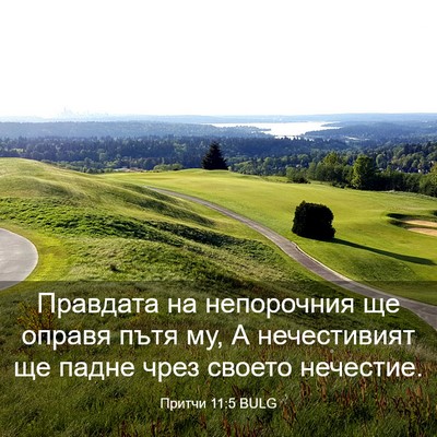 Picture 03 - Притчи 11:5 BULG - Правдата на непорочния ще - Bible Verse Picture