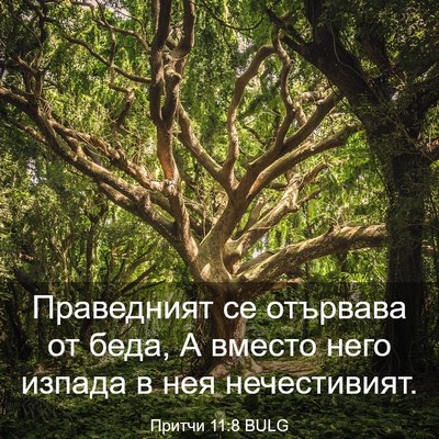 Picture 03 - Притчи 11:8 BULG - Праведният се отървава от - Bible Verse Picture
