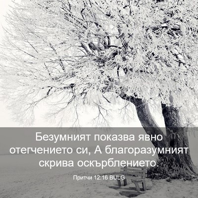 Picture 03 - Притчи 12:16 BULG - Безумният показва явно - Bible Verse Picture