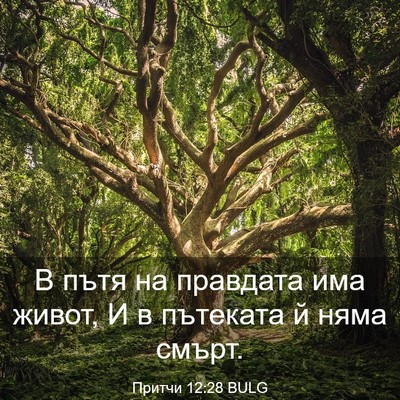 Picture 03 - Притчи 12:28 BULG - В пътя на правдата има - Bible Verse Picture