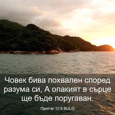 Picture 03 - Притчи 12:8 BULG - Човек бива похвален според - Bible Verse Picture